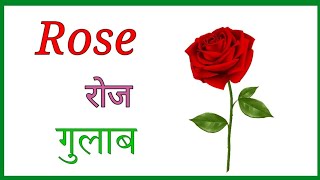 फूलों के नाम। फूलों के नाम हिंदी और इंग्लिश में। flowers name english and hindi [upl. by Bonn]