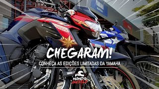 FAZER E LANDER 250 2021  AS MOTOS DA MARVEL CHEGARAM 🔴🔵 [upl. by Nowtna]