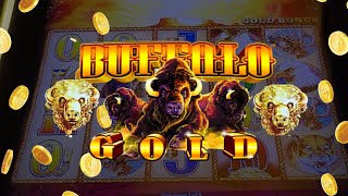 Is Buffalo Gold The BEST Slot Machine [upl. by Euqirdor93]