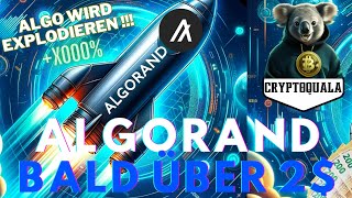 ALGORAND  DU BIST DER WAHNSINN 🚀🤯 ALGO XRP XLM [upl. by Ellenid630]