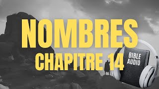 NOMBRES 14  LA BIBLE AUDIO avec textes [upl. by Alie]