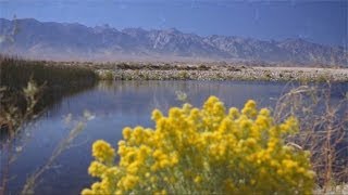 Los Angeles Aqueduct Centennial 2013 [upl. by Dyann]