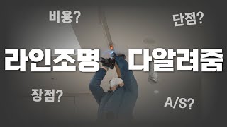 라인조명 장점과 단점 비용 AS 아무 업체에 맡기시려고 [upl. by Reedy]