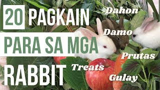 Rabbit Farming Vlog 2  Pagkain Para Sa Mga Alagang Rabbit [upl. by Mettah]