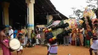 Puttur Nagathambiran Kovil Pongal Kavadi [upl. by Waltner790]