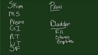 History amp Physical for Urogynecological Patient  Part I [upl. by Noach]