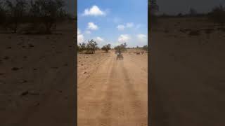 ParisDakar Rally 😉 foryou travel shorts prank [upl. by Isiah]