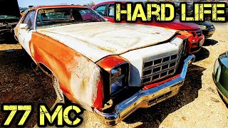 1977 Monte Carlo Junkyard Find [upl. by Astrahan]