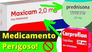 REMEDIO ANTIINFLAMATÓRIOS PARA CACHORRO  Melhor Remédio para Dor [upl. by Launamme]