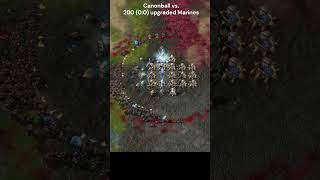 Protoss cannon sandwich gaming rts starcraft2 [upl. by Nylirrej]