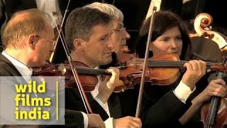 Trumpet Concerto Haydn 2nd movement by Andreas Ottl [upl. by Rosy673]