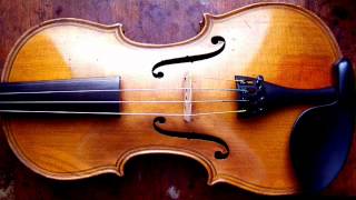 A Brief History of the Violin [upl. by Merridie955]