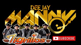 LOS TIGRILLOS  BAILAME  DJ MANNY TV 2024 [upl. by Lhary300]