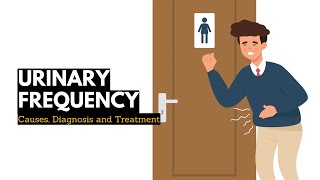 Urinary Frequency Causes Signs and Symptoms Diagnosis and Treatment [upl. by Obara773]