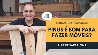 Pinus é uma madeira boa para móveis Fernando responde [upl. by Ardel820]