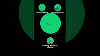 The Top 4 Symptoms of RCPD aka Inability to burp noburp [upl. by Bartholomew611]