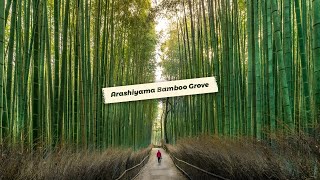 Бамбуковый лес СаганоSagano bamboo forest [upl. by Gillie]