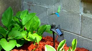 Solar Flying Hummingbird [upl. by Forester618]