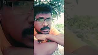 Nenje Nenje Paavai Nenjetamilshorts shortsfeed shorstvideo [upl. by Notsej]