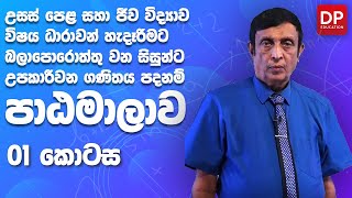 පාඩම 01  AL Maths  Science පදනම් පාඨමාලාව [upl. by Anabelle]