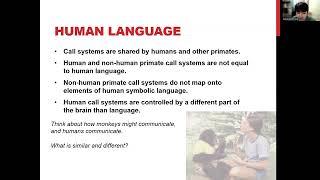 Lecture 11 Linguistic Anthropology Chapter 9 p1 [upl. by Ahseki886]