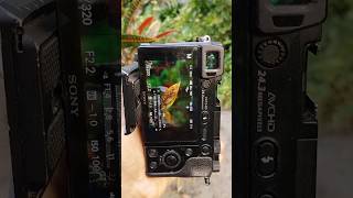 Sony A6000 Photography  Photography With Mirrorless Dslr Camera [upl. by Suoivatnod913]