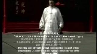 Master Chen Yong Fa teaching DVD series Lohan Qigong 十八羅漢功 [upl. by Heyer688]