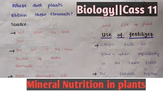 Mineral Nutrition in plantsAutotrophic nutritionClass 11 Chapter 12Easy discussion [upl. by Robenia652]