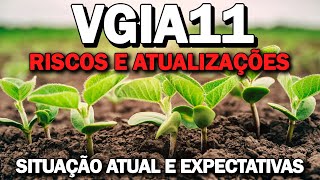 VGIA11 RISCOS EXPECTATIVAS DIVIDENDOS ATUALIZAÇÕES [upl. by Eldorado]