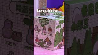 capybara claw machine blinkbox [upl. by Esinaej]