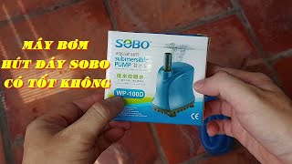 Máy Bơm Chìm Hút Cặn Đáy Hồ SOBO WP100D Có Đáng Để Mua Không  Lần Đầu Nuôi Cá [upl. by Aonehc]