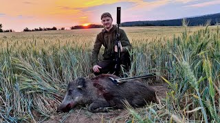 Weizenpirsch  Jagd auf Sau amp Bock  Jagdkrone [upl. by Retsof]