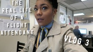 The quotReal Lifequot of a Flight Attendant  Vlog 3  CLOSE CALL [upl. by Ikkim]