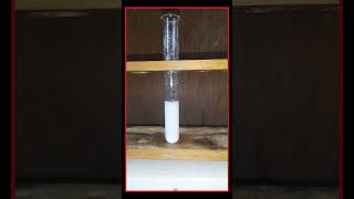 Salt AnalysisSilver Nitrates test Confirmatory Test For chloride ionCl Chandrus Chemistry [upl. by Robina]