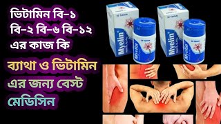 Myelin এর কাজ কি। ভিটামিন ও ব্যাথার জন্য বেস্ট মেডিসিন  how to use vitamin b1 b6 b12 tablet [upl. by Isiah104]