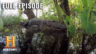 Swamp People Fresh Blood Season 8 Episode 2  Full Episode  History [upl. by Oinesra]