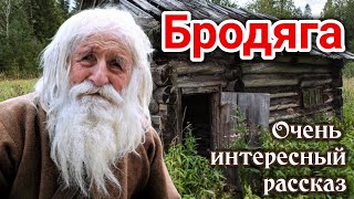 ОЧЕНЬ ИНТЕРЕСНЫЙ РАССКАЗ Бродяга  Новый Кристина РойДО СЛЁЗХристианский «Трогательная история» [upl. by Atla]