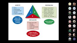 Pediatria Triangulo de evaluacion pediatrica [upl. by Pollyanna276]