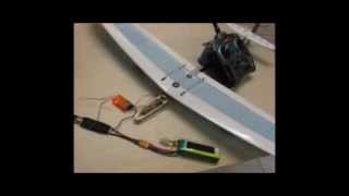 DX6i For Mini DLG with Aileron Setup Video [upl. by Fineman]