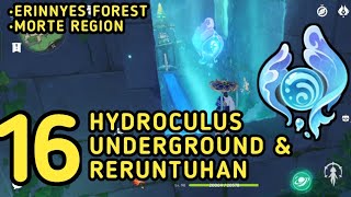 16 All Hydroculus Underground Erinnyes Forest amp Morte Region Fontaine Guide  Genshin Impact [upl. by Atteuqram]