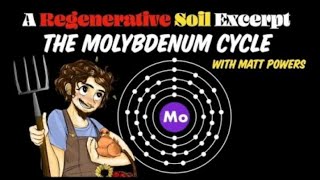 The Molybdenum Cycle  Regenerative Soil with Matt Powers [upl. by Mandie558]