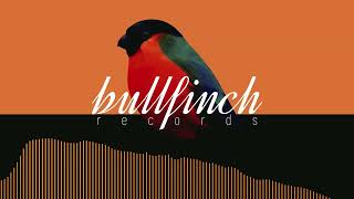 Bullfinch Autumn 2024 Compilation Mixed by Artem Kai [upl. by Meit]