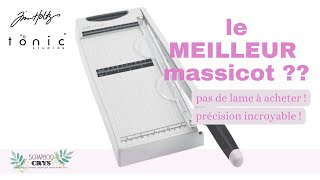 MEILLEUR MASSICOT de tous les temps  et pas le plus cher  comment vieillit mon massicot ACTION [upl. by Nnaasil]