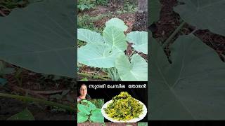 SUNDARI CHEMBILA THORAN colocasialeaves taroleaf palak leafyvegitables healthyfood [upl. by Simah177]