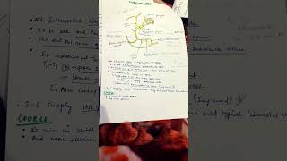 Intercostal space and nerves notesbptviralhuman anatomy [upl. by Adnirual]