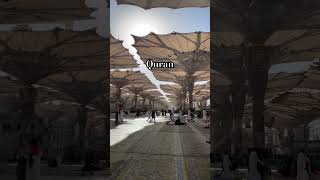 Quranurdutranslationyoutubeshortsvideo [upl. by Anaujnas]