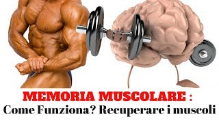 MEMORIA MUSCOLARE  Come funziona Recuperare i muscoli persi [upl. by Aurore]