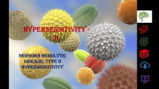 Newborn hemolytic disease Type II hypersensitivity immunology neet2024 education biology [upl. by Sarena831]