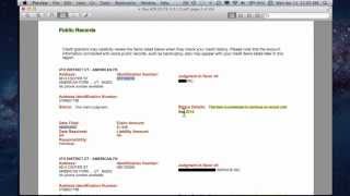 Consumer Credit  Experian Credit Report WalkThru [upl. by Eyahc]