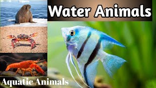 Water animals  Aquatic animals picture of water animals  sea animals [upl. by Reel]